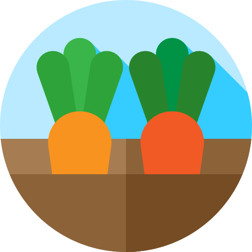 Vegetable