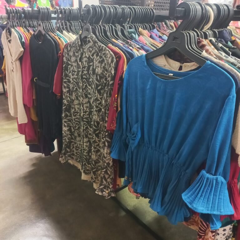 Ladies top and gowns items