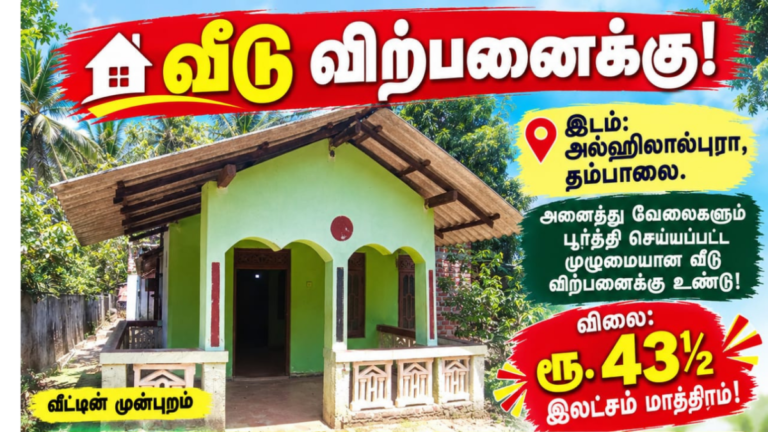 house 1 768x432