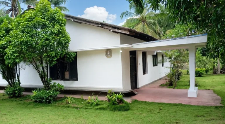 house 768x425