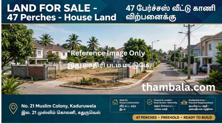 land 1 768x432