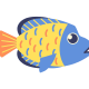 fi