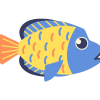 fi